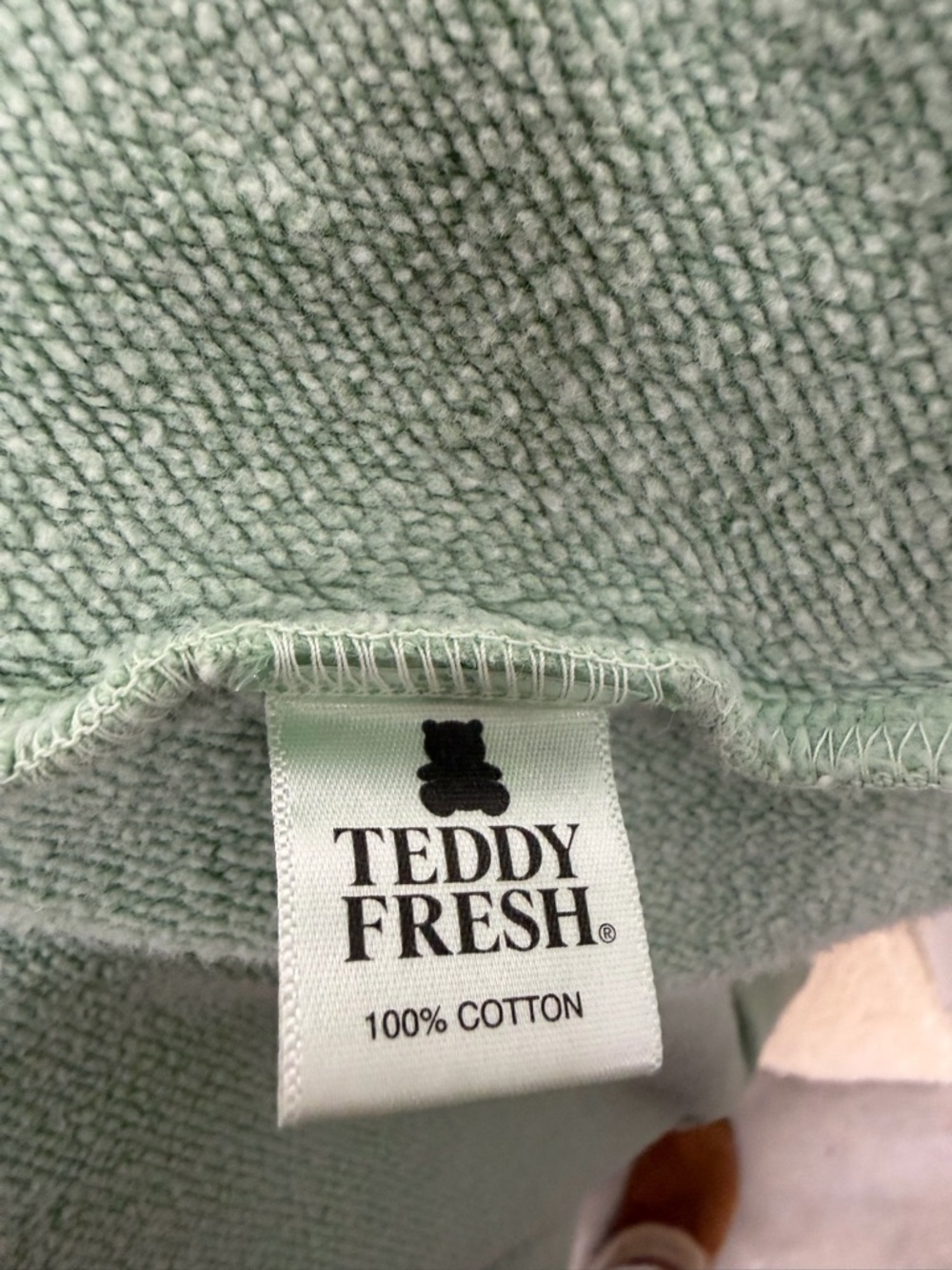 Teddy Fresh Women's Classic Zip Hoodie Mint Green Size Large - Picture 14 of 16